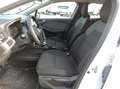 Renault Clio 1.5 dci Business 85cv -- Neopatentati -- Bianco - thumbnail 11