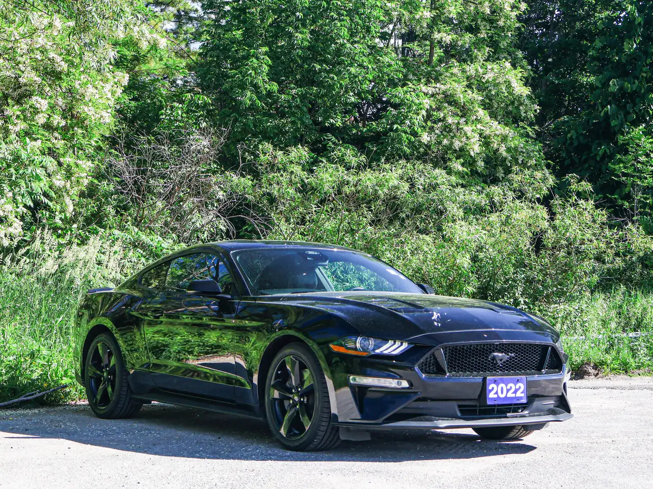 Ford Mustang fotografie Ford Mustang