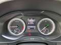 Skoda Kodiaq Kodiaq 2.0 TDI SCR DSG Executive 7 posti Gris - thumbnail 14