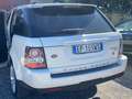 Land Rover Range Rover Sport Range Rover Sport I 2010 3.6 tdV8 HSE auto Bianco - thumbnail 8