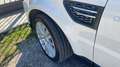 Land Rover Range Rover Sport Range Rover Sport I 2010 3.6 tdV8 HSE auto Bianco - thumbnail 9