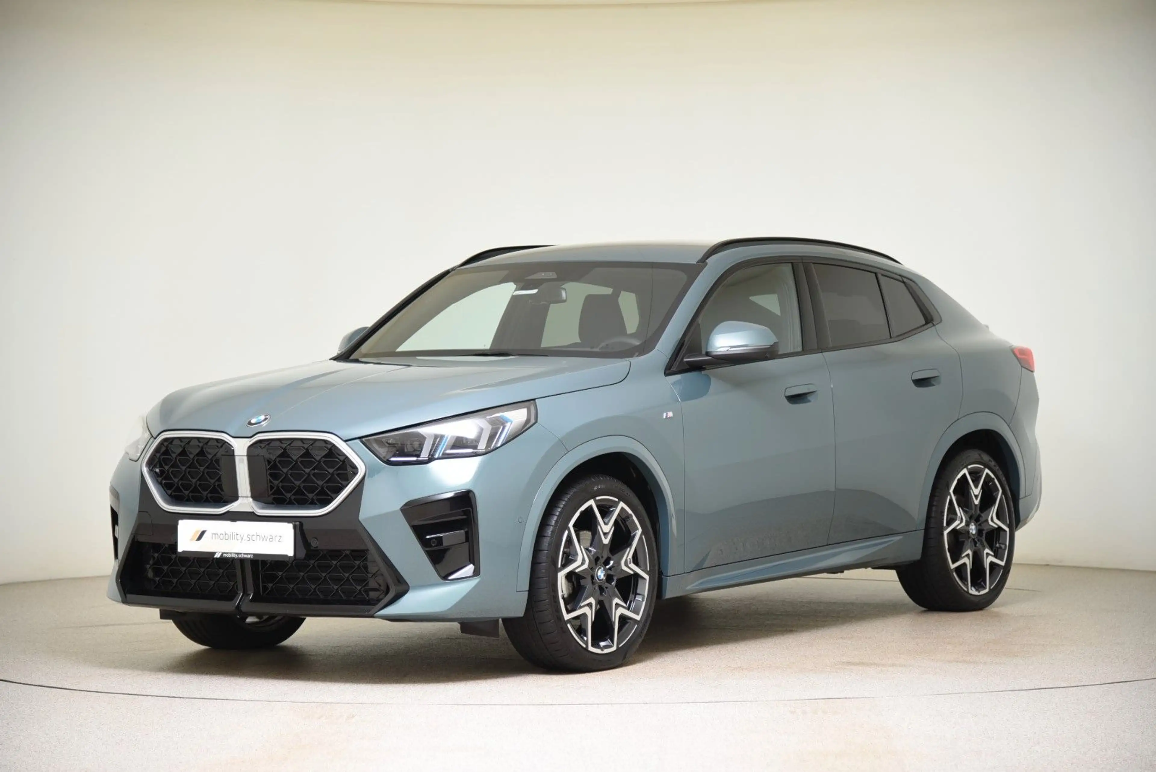 BMW X2 xDrive20d M Sport LED HUD AHK ParkAss DAB