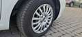 Fiat Punto 1.2i Benzine **79400km ** Carpass/Garantie** Blanc - thumbnail 12