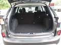 Ford Kuga 1,5 EcoBoost Trend Grau - thumbnail 32
