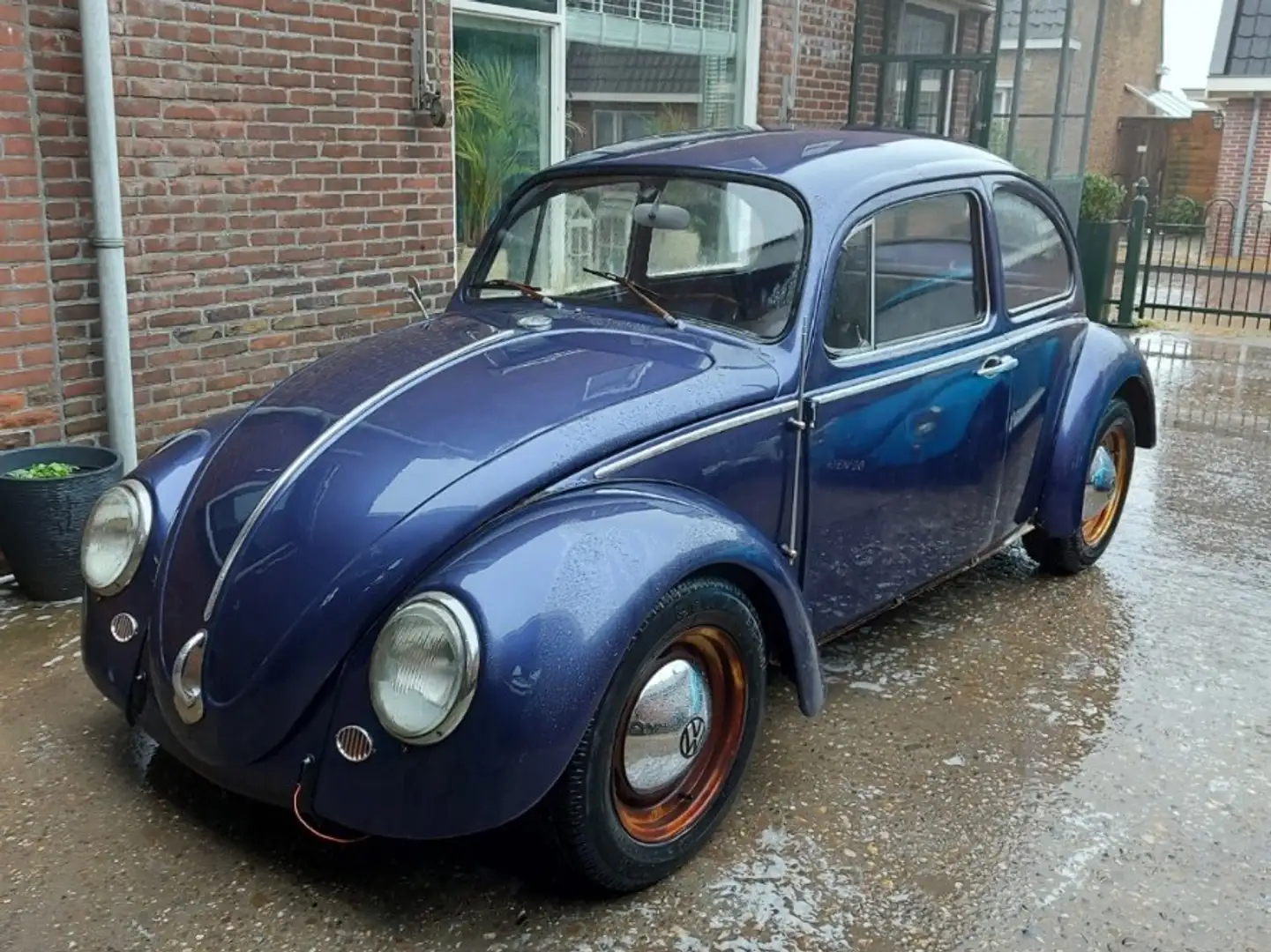 Volkswagen Kever Kever Синій - 1