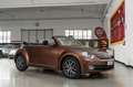 Volkswagen Maggiolino 1.2 TSI 105cv ALLSTAR BMT cabriolet Marrone - thumbnail 9