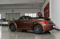 Volkswagen Maggiolino 1.2 TSI 105cv ALLSTAR BMT cabriolet Braun - thumbnail 26