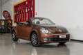 Volkswagen Maggiolino 1.2 TSI 105cv ALLSTAR BMT cabriolet Braun - thumbnail 44