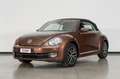 Volkswagen Maggiolino 1.2 TSI 105cv ALLSTAR BMT cabriolet Braun - thumbnail 49