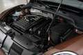 Volkswagen Maggiolino 1.2 TSI 105cv ALLSTAR BMT cabriolet Marrone - thumbnail 5