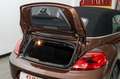 Volkswagen Maggiolino 1.2 TSI 105cv ALLSTAR BMT cabriolet Braun - thumbnail 42