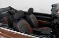 Volkswagen Maggiolino 1.2 TSI 105cv ALLSTAR BMT cabriolet Braun - thumbnail 24