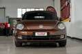 Volkswagen Maggiolino 1.2 TSI 105cv ALLSTAR BMT cabriolet Marrone - thumbnail 11