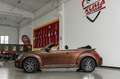 Volkswagen Maggiolino 1.2 TSI 105cv ALLSTAR BMT cabriolet Braun - thumbnail 30