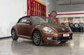 Volkswagen Maggiolino 1.2 TSI 105cv ALLSTAR BMT cabriolet Braun - thumbnail 27