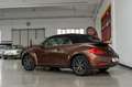 Volkswagen Maggiolino 1.2 TSI 105cv ALLSTAR BMT cabriolet Marrone - thumbnail 7