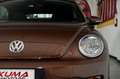 Volkswagen Maggiolino 1.2 TSI 105cv ALLSTAR BMT cabriolet Braun - thumbnail 36