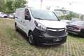 Opel Vivaro Kasten L2H1  2,9t Weiß - thumbnail 4
