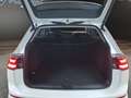 Volkswagen Golf VIII Var. 2.0 TDI DSG Life AHK+MATRIX+HUD Klima Blanc - thumbnail 21