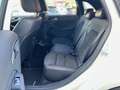 Mercedes-Benz B 200 200D 136CH SPORT EDITION 7G-DCT Weiß - thumbnail 8