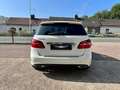 Mercedes-Benz B 200 200D 136CH SPORT EDITION 7G-DCT Weiß - thumbnail 4