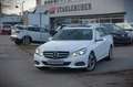 Mercedes-Benz E 220 CDI BlueEfficiency / Avantgarde/ Pano /LED Blanc - thumbnail 1