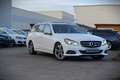 Mercedes-Benz E 220 CDI BlueEfficiency / Avantgarde/ Pano /LED Blanc - thumbnail 15