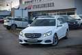 Mercedes-Benz E 220 CDI BlueEfficiency / Avantgarde/ Pano /LED Blanc - thumbnail 13