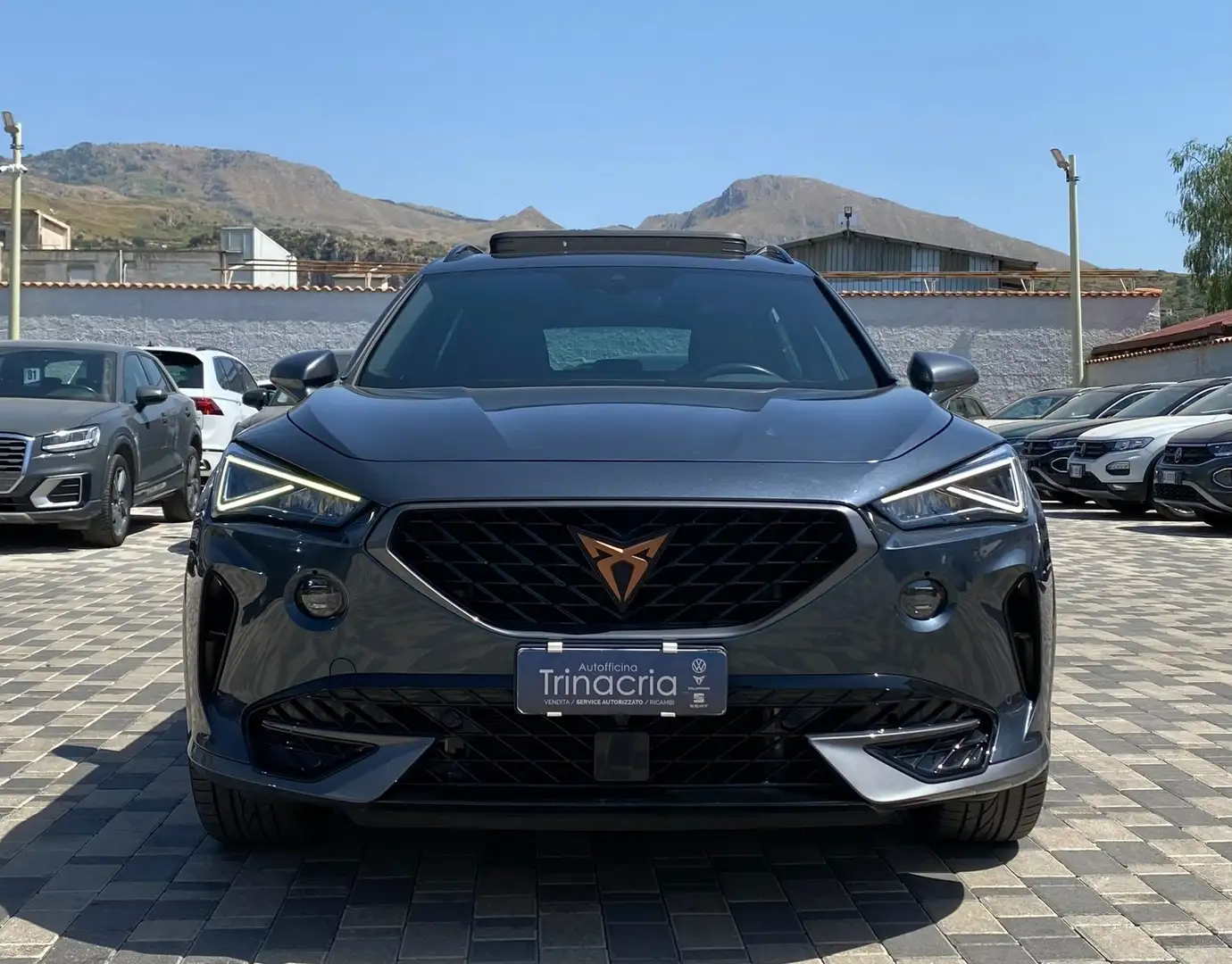CUPRA Formentor 2.0 TDI 150CV DSG 4drive Tetto Gris - 2
