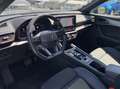 CUPRA Formentor 2.0 TDI 150CV DSG 4drive Tetto Gris - thumbnail 8