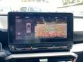 CUPRA Formentor 2.0 TDI 150CV DSG 4drive Tetto Gris - thumbnail 10