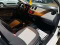 SEAT Ibiza Ibiza 1.2i 12v - Airco - GARANTIE Wit - thumbnail 18