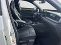 Volkswagen Tayron R-Line 2.0 TDI 4M 7Sitze|AHK|Pano|360°|HK Blanc - thumbnail 4