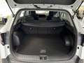 Kia Sportage Weiß - thumbnail 13