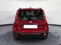 Fiat Panda 1.0 70CV HIBRID Rojo - thumbnail 4