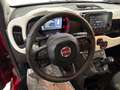 Fiat Panda 1.0 70CV HIBRID Rojo - thumbnail 20