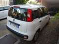 Fiat Panda 1.2 Pop Blanc - thumbnail 2