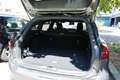 Ford Focus Ford Focus Turnier ST-Line 1.0 mHEV | Top Zustand | EZ 10/2023 | Neues Service & Batterie | neue 8-fach Alu Grau - thumbnail 29