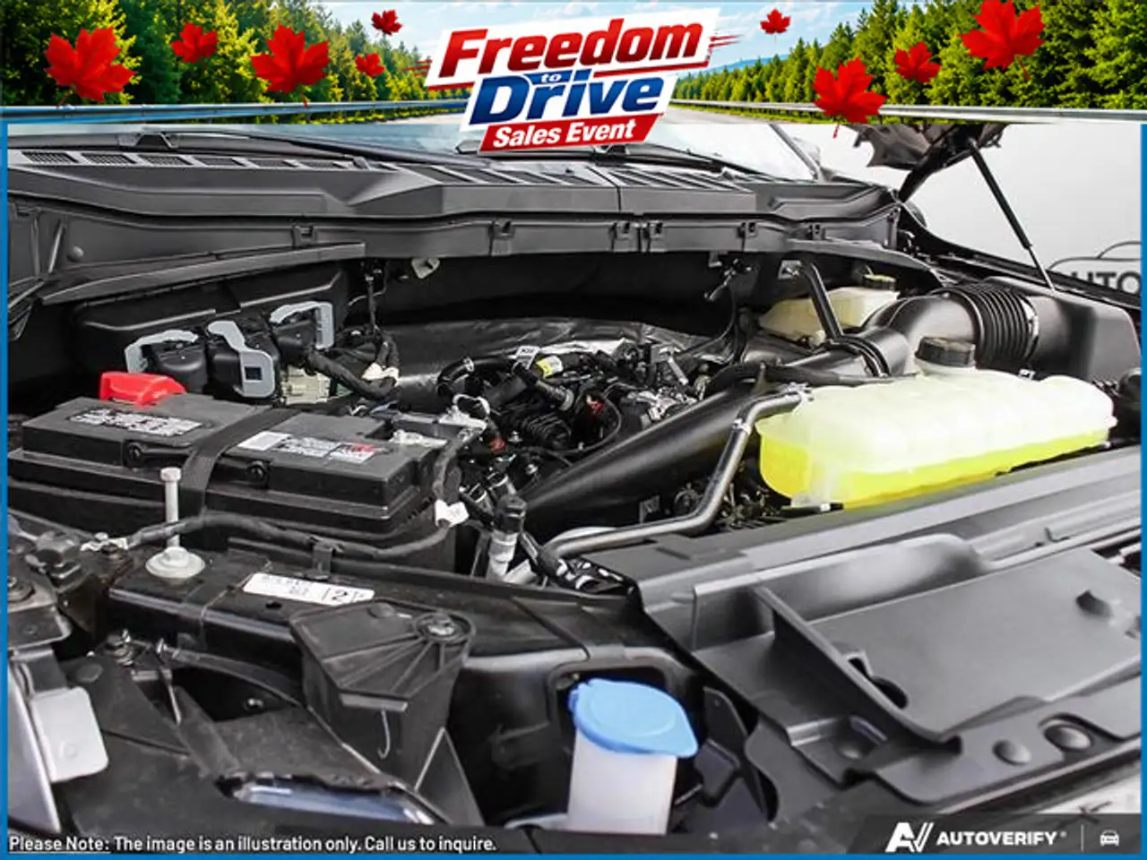 Ford F 150 photo Ford F 150