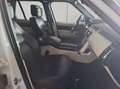 Land Rover Range Rover 4.4 SDV8 Autobiography Blanc - thumbnail 14