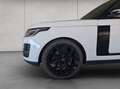 Land Rover Range Rover 4.4 SDV8 Autobiography Weiß - thumbnail 18