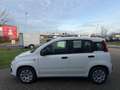 Fiat Panda Easy Modell 2019 1Hand Klima Blanc - thumbnail 8