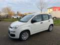 Fiat Panda Easy Modell 2019 1Hand Klima Blanc - thumbnail 12