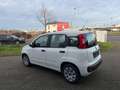 Fiat Panda Easy Modell 2019 1Hand Klima Blanc - thumbnail 7