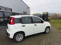 Fiat Panda Easy Modell 2019 1Hand Klima Blanc - thumbnail 3