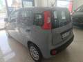 Fiat Panda Panda 1.0 hybrid 70cv Grigio - thumbnail 4