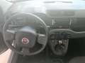 Fiat Panda Panda 1.0 hybrid 70cv Grigio - thumbnail 7