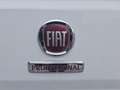 Fiat Ducato 35 2.2 MJT3 140cv PLM-TM L3H2 FURGONE Bílá - thumbnail 13