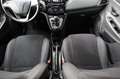 Lancia Ypsilon 0.9 TwinAir 85CV 5Porte Metano Ecochic NEOPATENTA Grigio - thumbnail 20