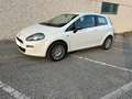 Fiat Punto 3p 1.4 easypower Young Gpl Weiß - thumbnail 3